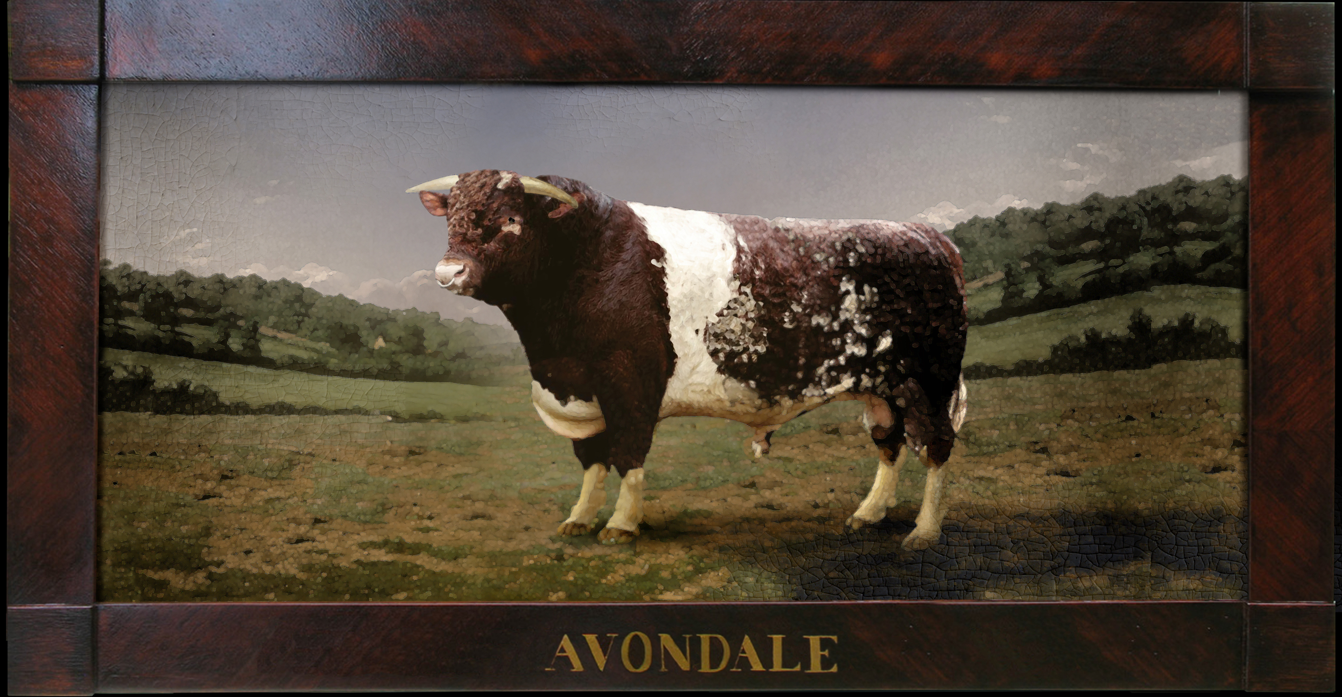 Richland's Legacy of World-Class Cattle: Avondale and Maxwalton