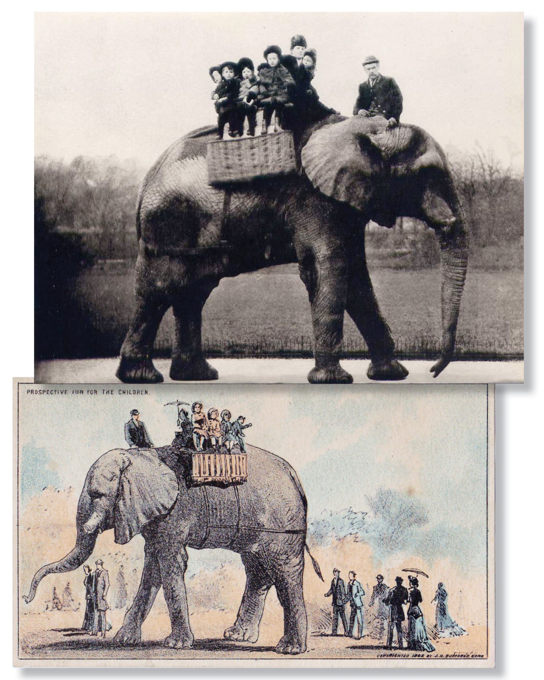 Jumbo Comes to Mansfield: 1883 – Richland County History