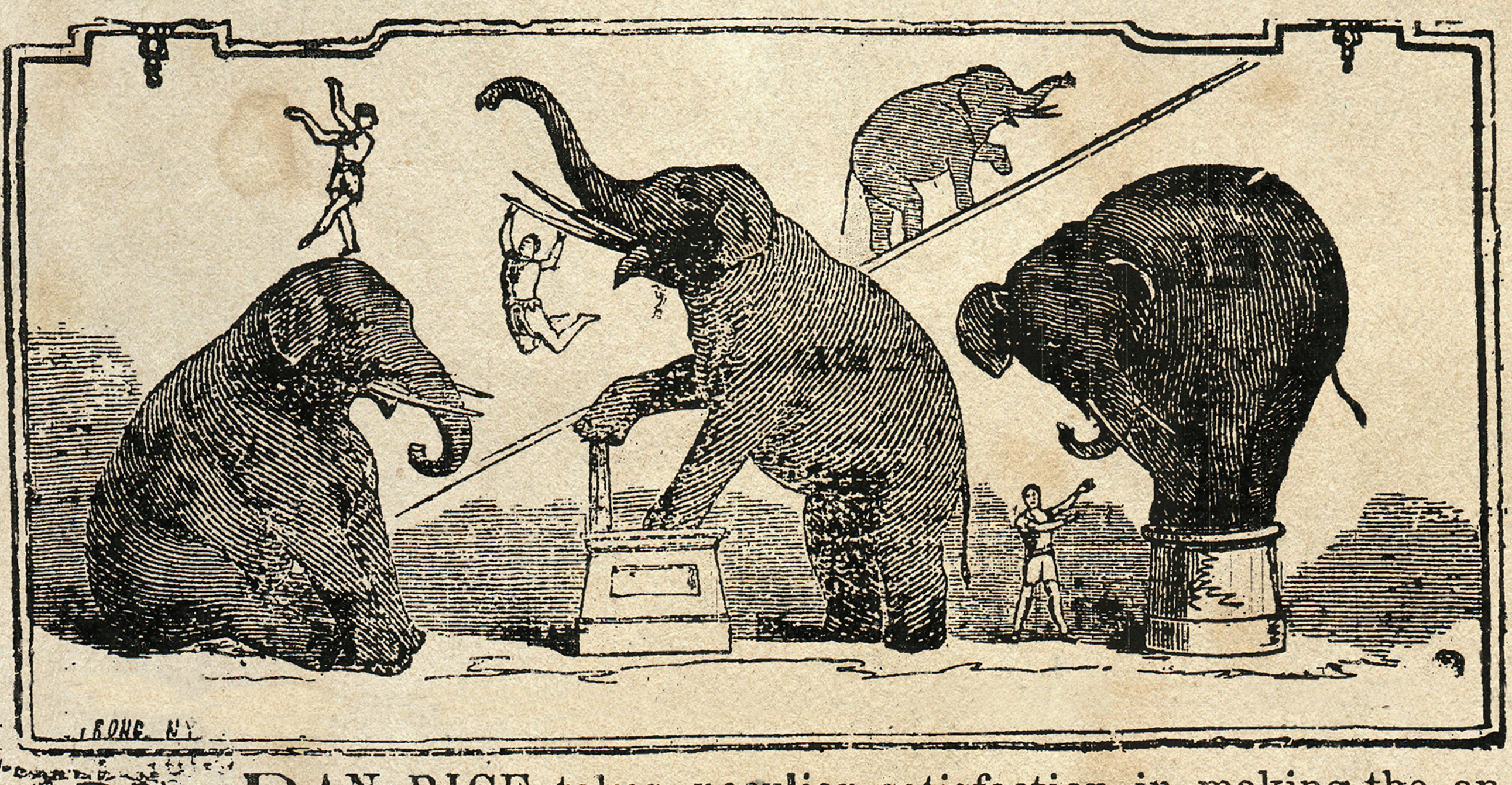 OZWNRT ブーファン　BoophamneMan TheCaudexMan Jumbo Comes to Mansfield: 1883 – Richland County History
